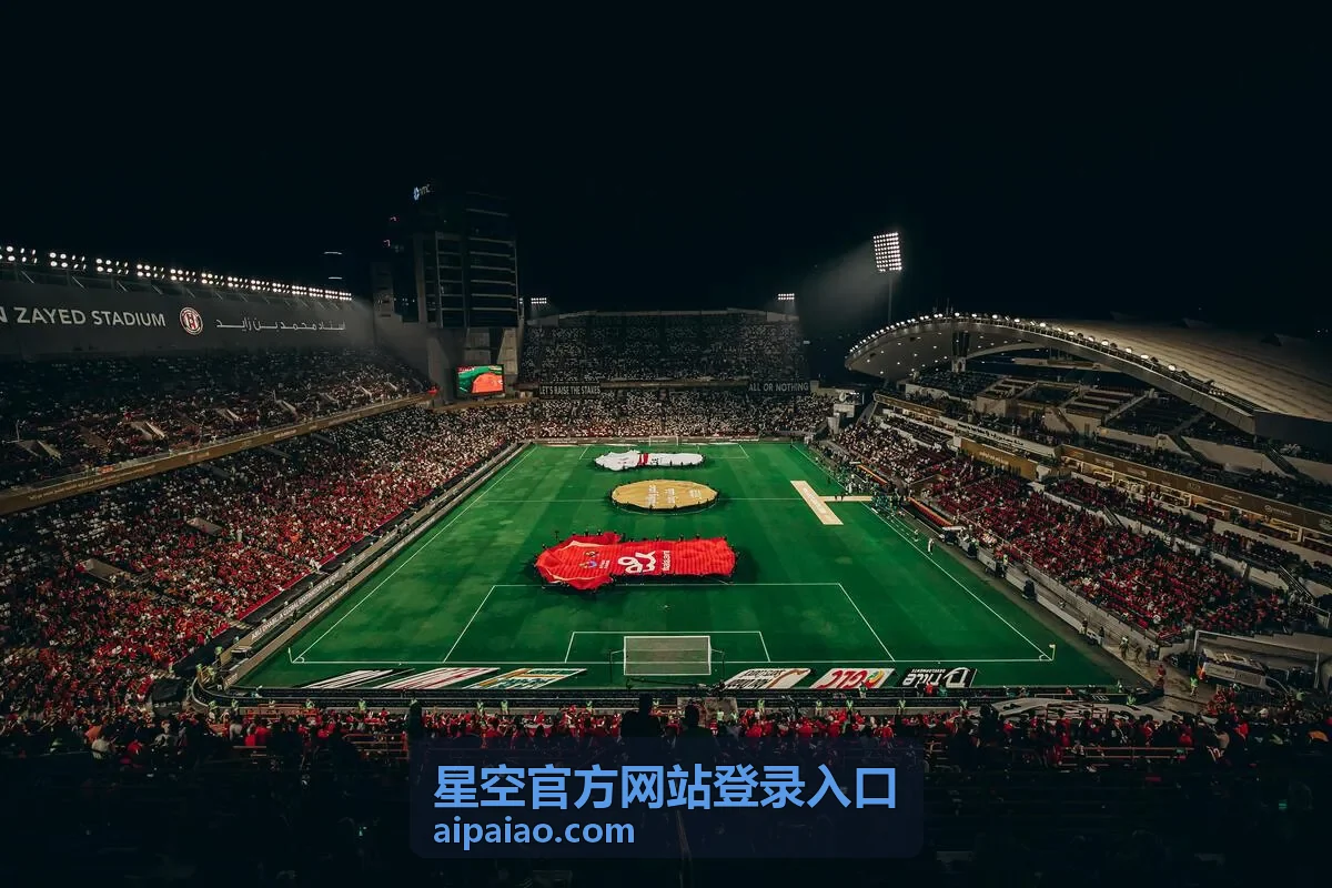 星空官方网站登录入口短信验证码与图形校验步骤示意